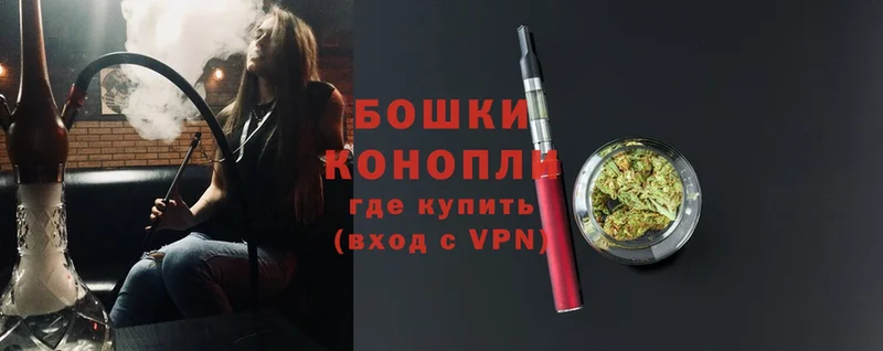 Бошки Шишки план  Болохово 